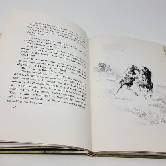 Misty of Chincoteague 1964 - Picture 6 of 8